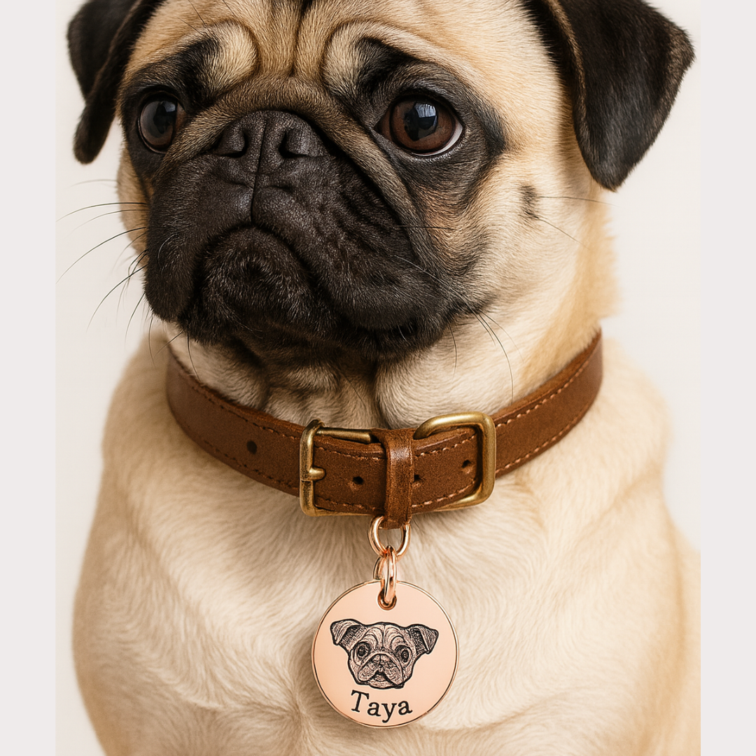 マイペットネックレス - ココナペット