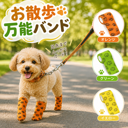 お散歩万能バンド