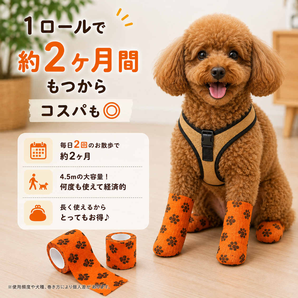 お散歩万能バンド