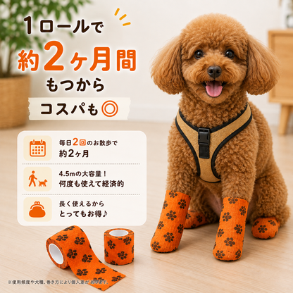 お散歩万能バンド
