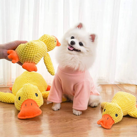 癒しのアヒルちゃん